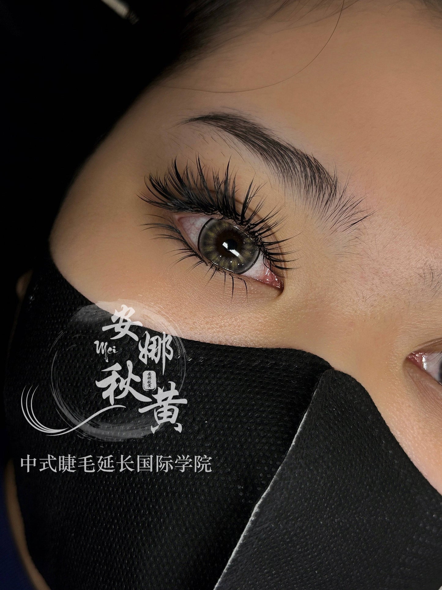 Medusa Set ( 𝔇𝔬𝔲𝔶𝔦𝔫 ℭ𝔬𝔩𝔩𝔢𝔠𝔱𝔦𝔬𝔫) fomula - Mei Studio Sydney