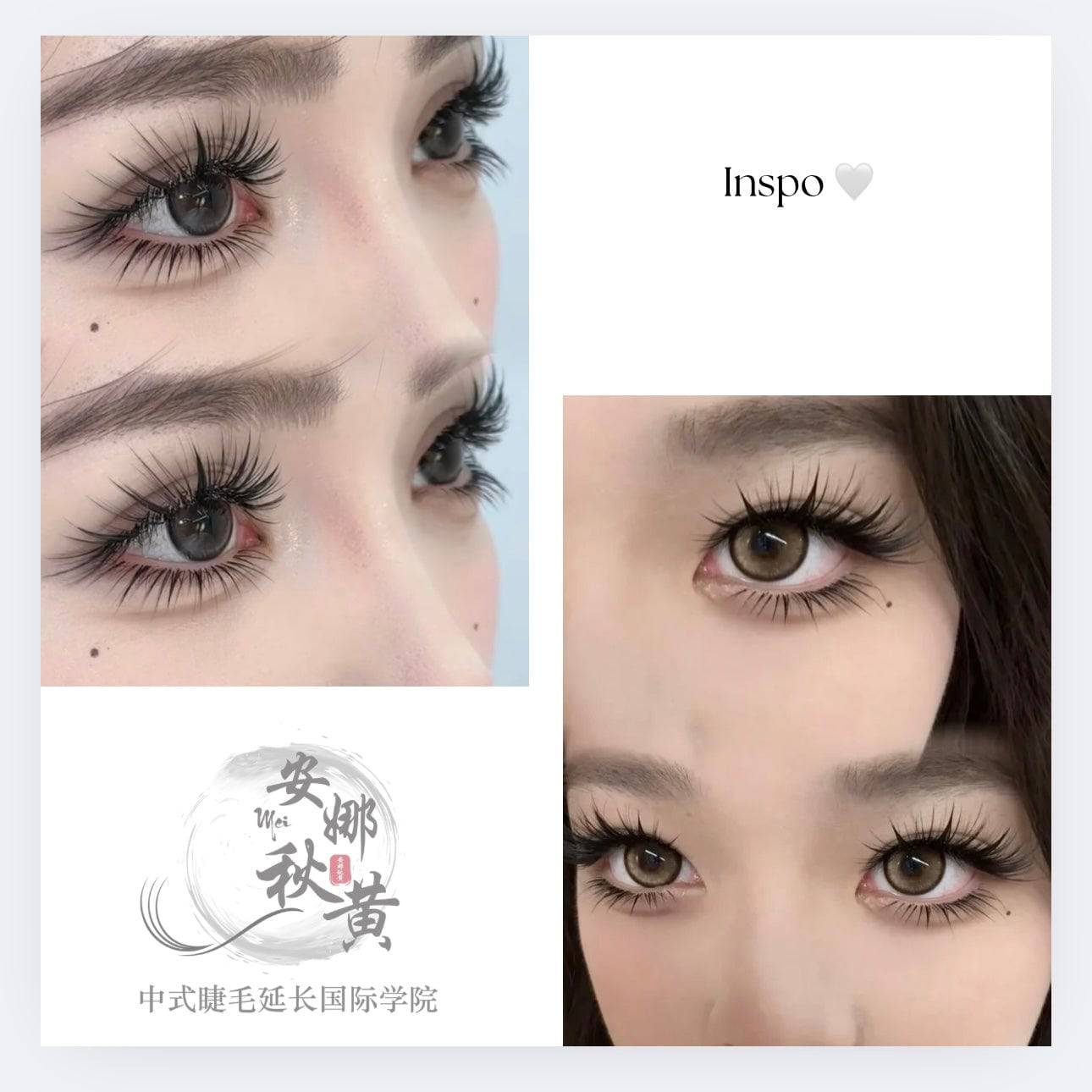 Medusa Set ( 𝔇𝔬𝔲𝔶𝔦𝔫 ℭ𝔬𝔩𝔩𝔢𝔠𝔱𝔦𝔬𝔫) fomula - Mei Studio Sydney