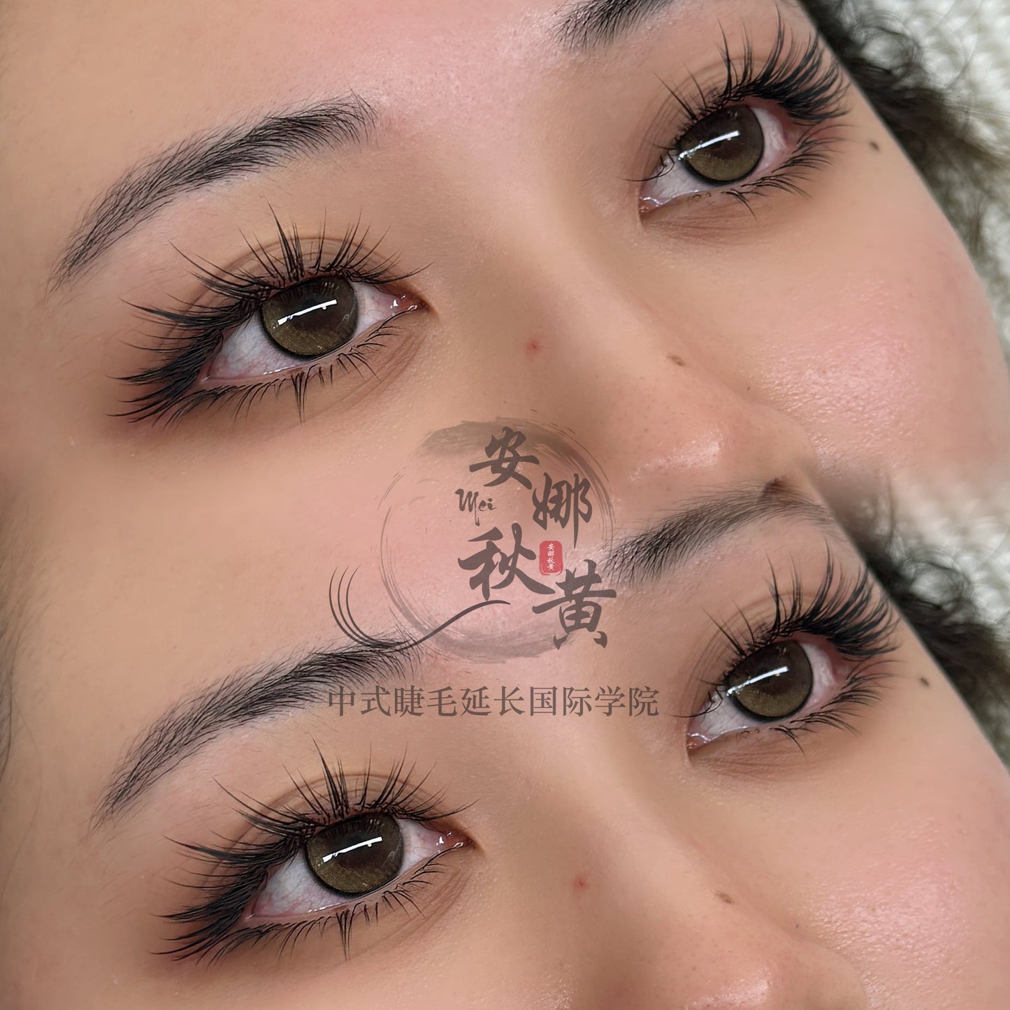 Douyin Mix Tray ( Douyin Camellia) - Mei Studio Sydney