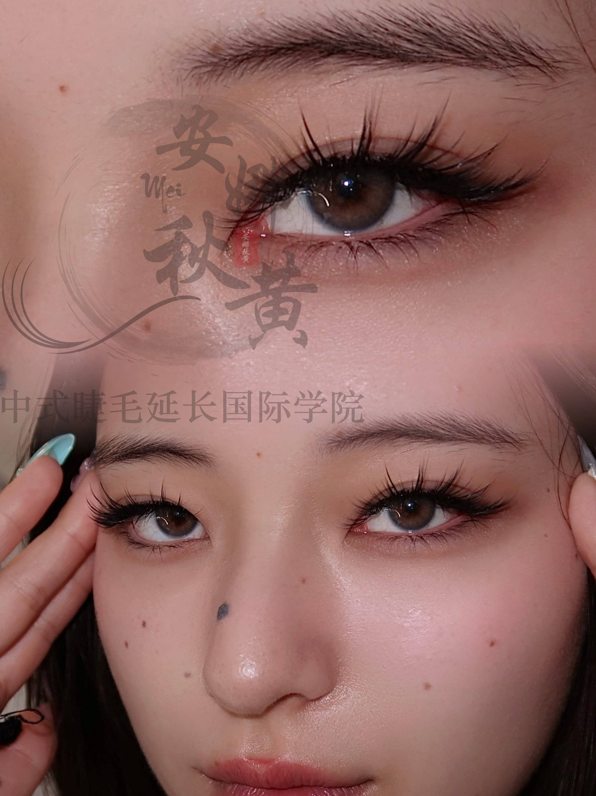 Douyin Mix Tray ( Douyin Camellia) - Mei Studio Sydney