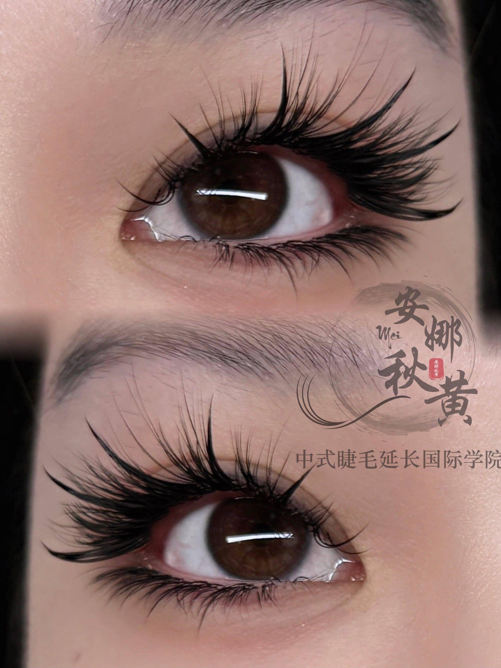 Medusa Set ( 𝔇𝔬𝔲𝔶𝔦𝔫 ℭ𝔬𝔩𝔩𝔢𝔠𝔱𝔦𝔬𝔫) fomula - Mei Studio Sydney