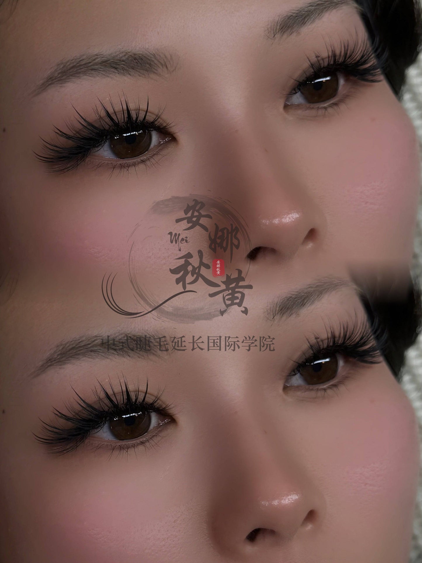 Medusa Set ( 𝔇𝔬𝔲𝔶𝔦𝔫 ℭ𝔬𝔩𝔩𝔢𝔠𝔱𝔦𝔬𝔫) fomula - Mei Studio Sydney