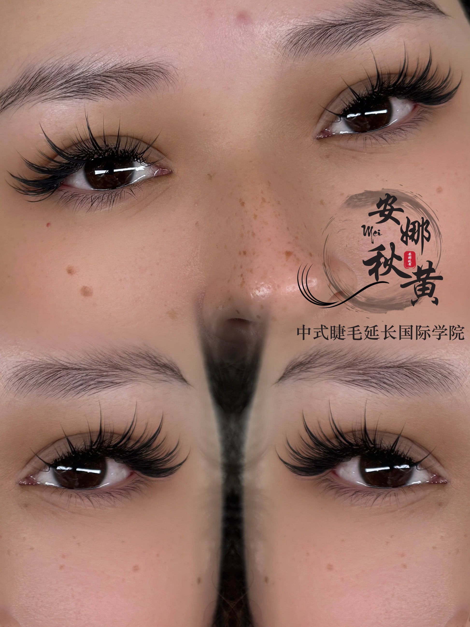 Douyin Mix Tray ( Douyin Camellia) - Mei Studio Sydney