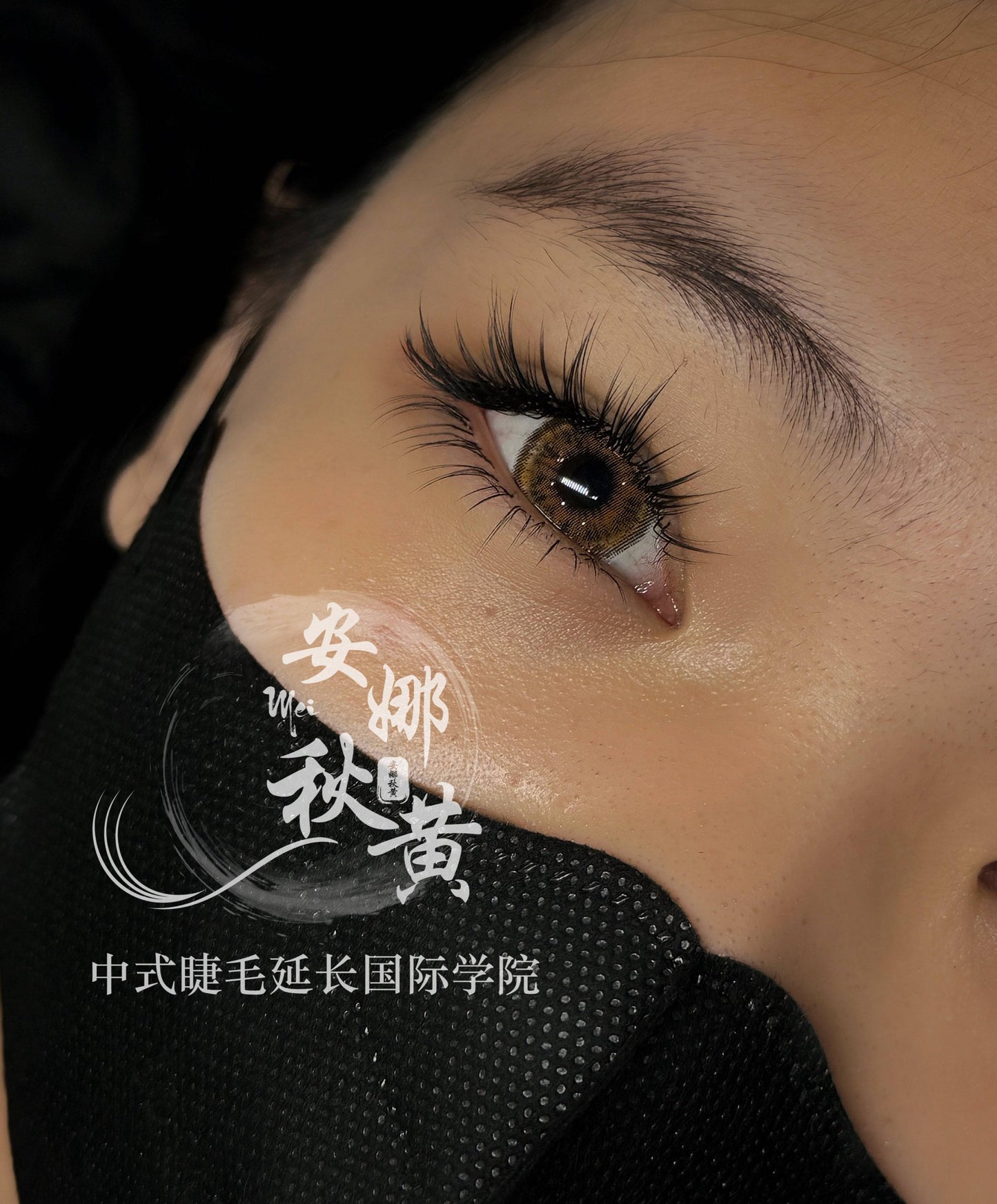 Douyin Mix Tray ( Douyin Camellia) - Mei Studio Sydney