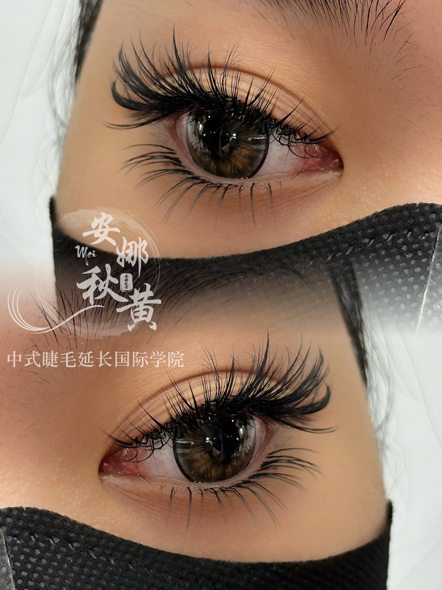 Medusa Set ( 𝔇𝔬𝔲𝔶𝔦𝔫 ℭ𝔬𝔩𝔩𝔢𝔠𝔱𝔦𝔬𝔫) fomula - Mei Studio Sydney