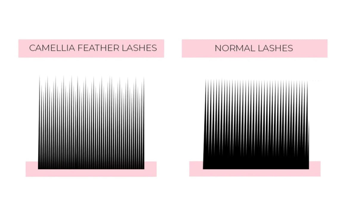 Camellia Lash Tray CC0.07 - Mei Studio Sydney